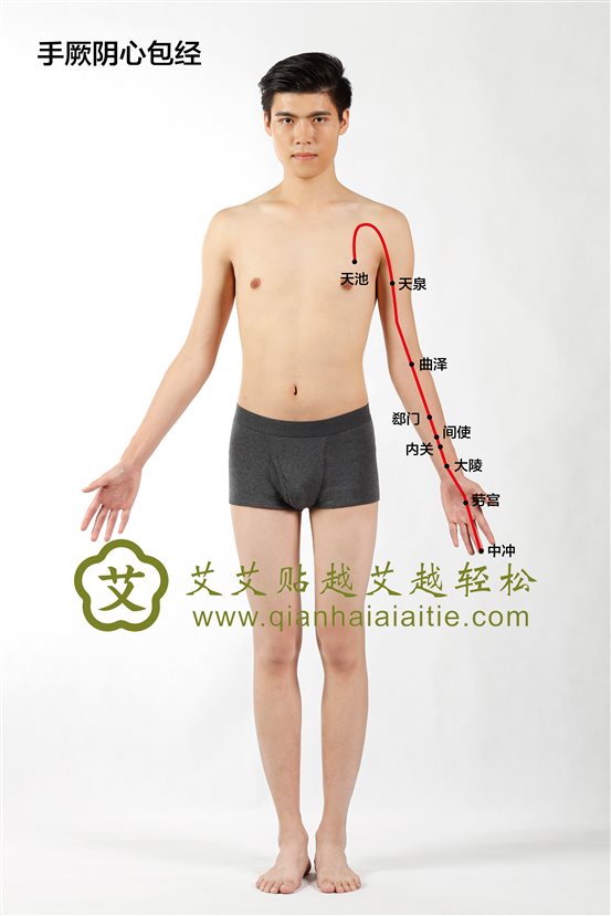 手厥阴心包经
