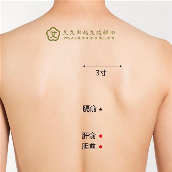 膈俞、肝俞、胆俞