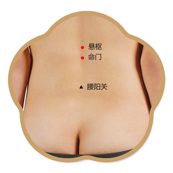 悬枢、命门、腰阳关