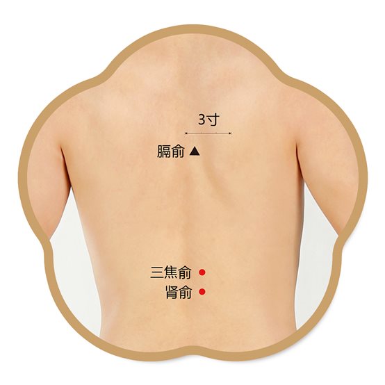三焦俞、肾俞