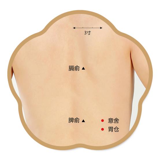 意舍、胃仓