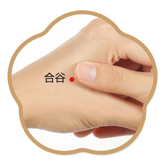 合谷