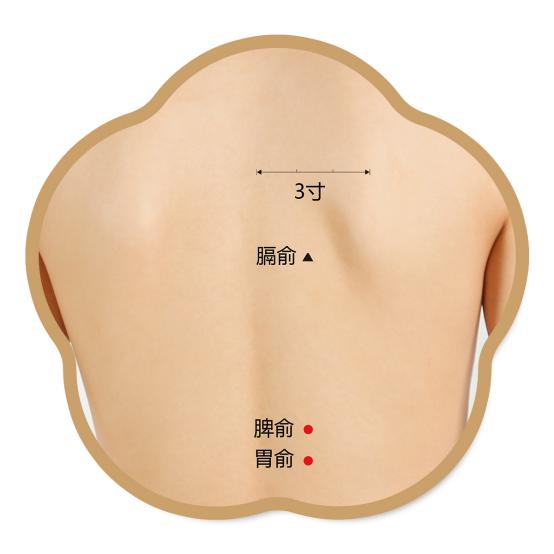 膈俞、脾俞、胃俞