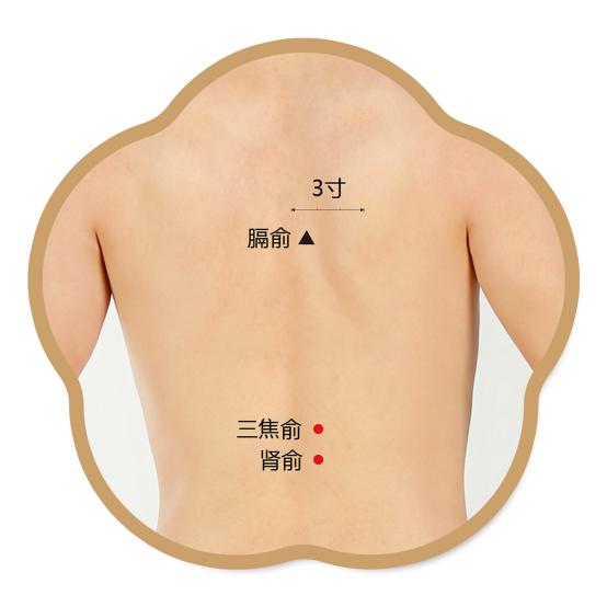 三焦俞、肾俞