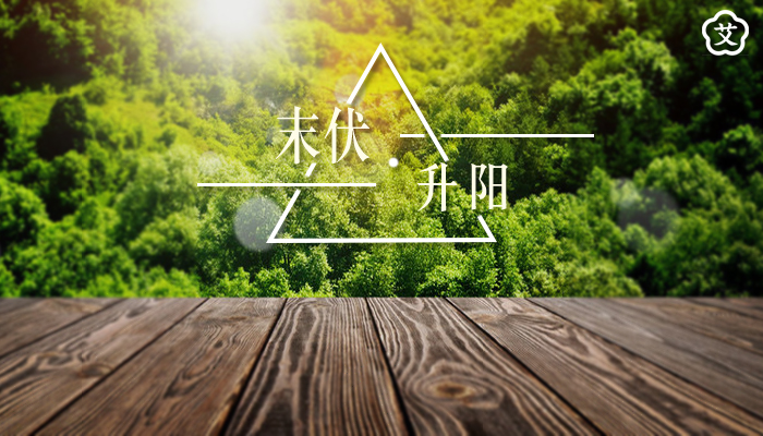 明日末伏丨抓住伏日的尾巴，把阳气养起来！