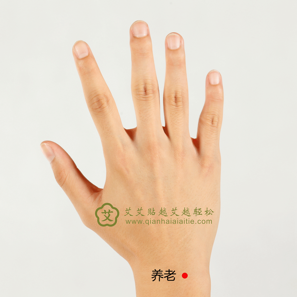 养老穴.gif