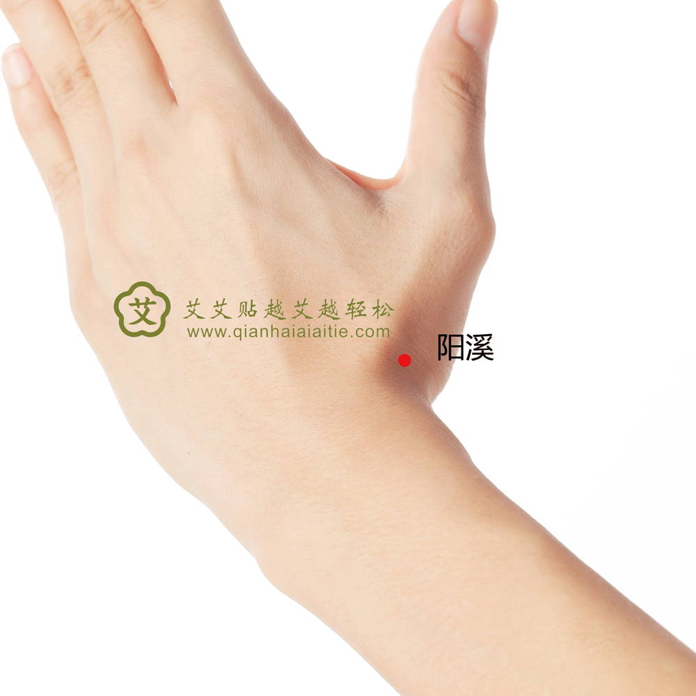 艾艾贴穴位·阳溪穴：清泄阳明，通经安神，舒筋利节