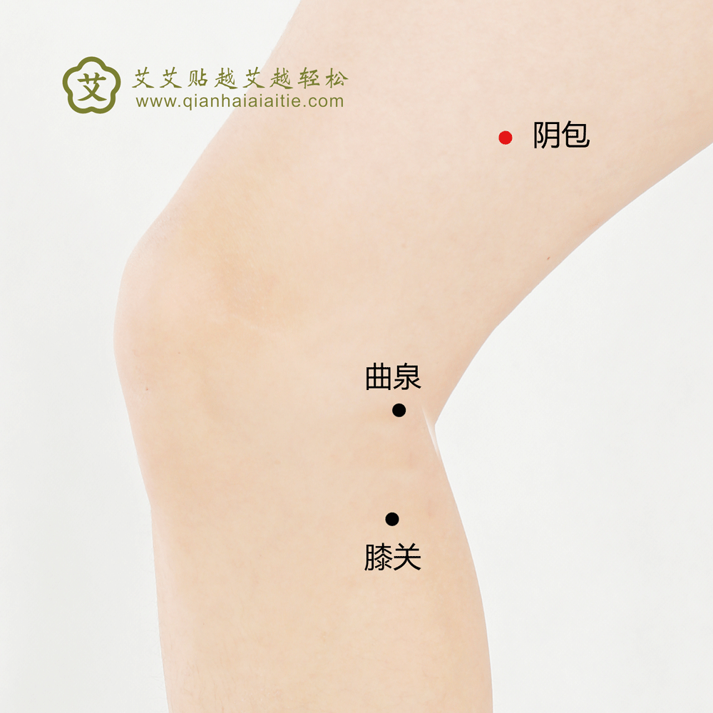 阴包穴.gif