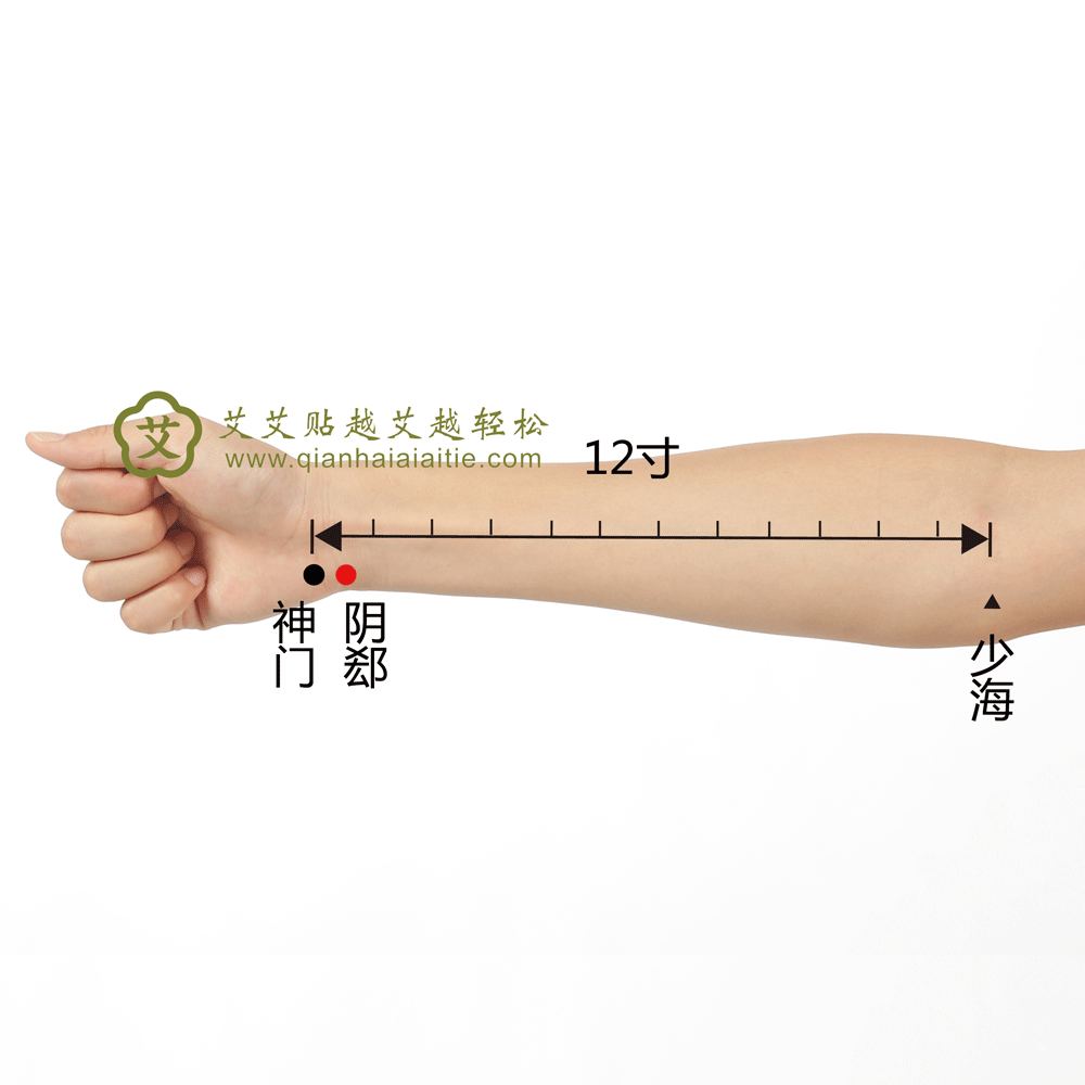 阴郄穴.gif