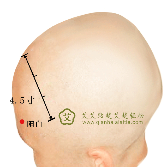阳白.gif
