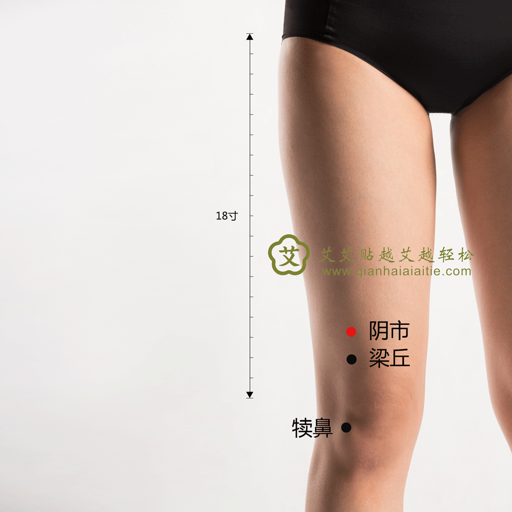 阴市穴.gif
