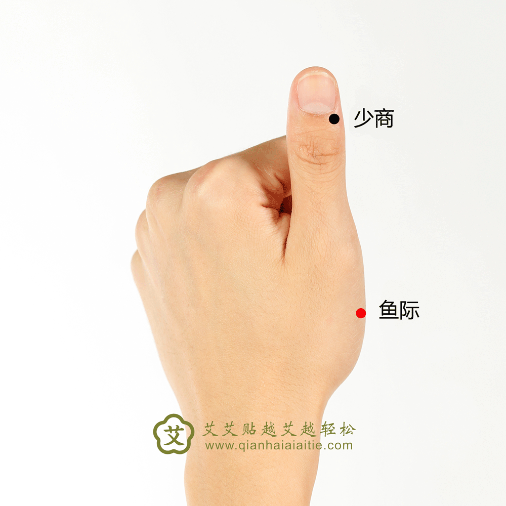 艾艾贴穴位·鱼际穴：清肺泻火，清宣肺气