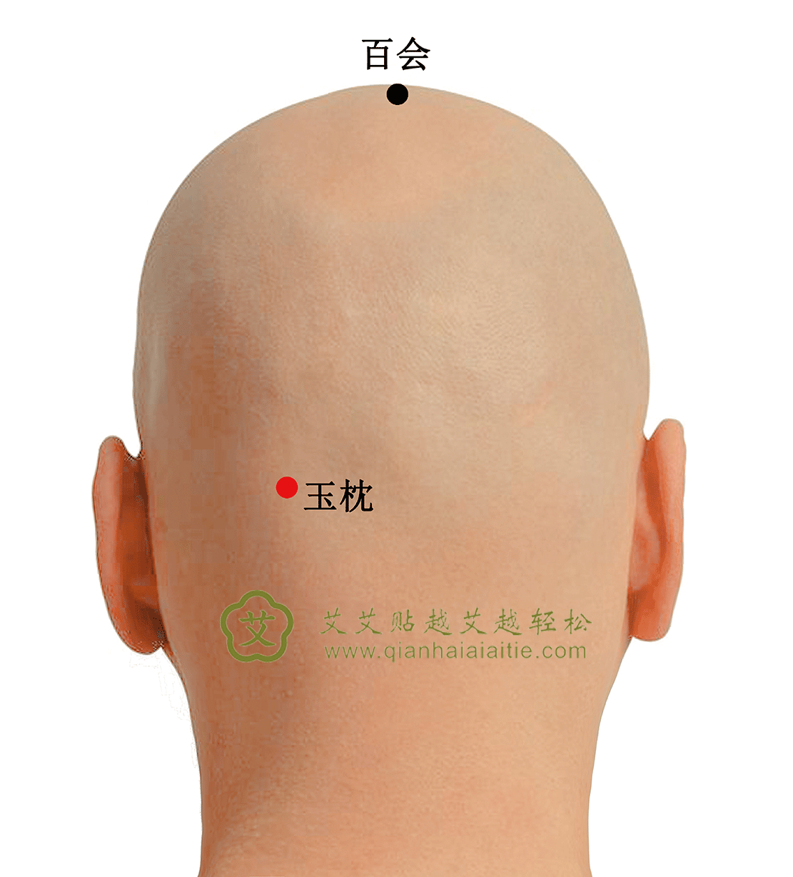 艾艾贴穴位·玉枕穴：头项痛、目痛、鼻塞