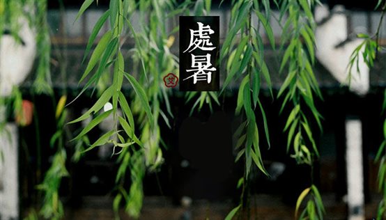 处暑｜艾灸强正气，秋收顺天时