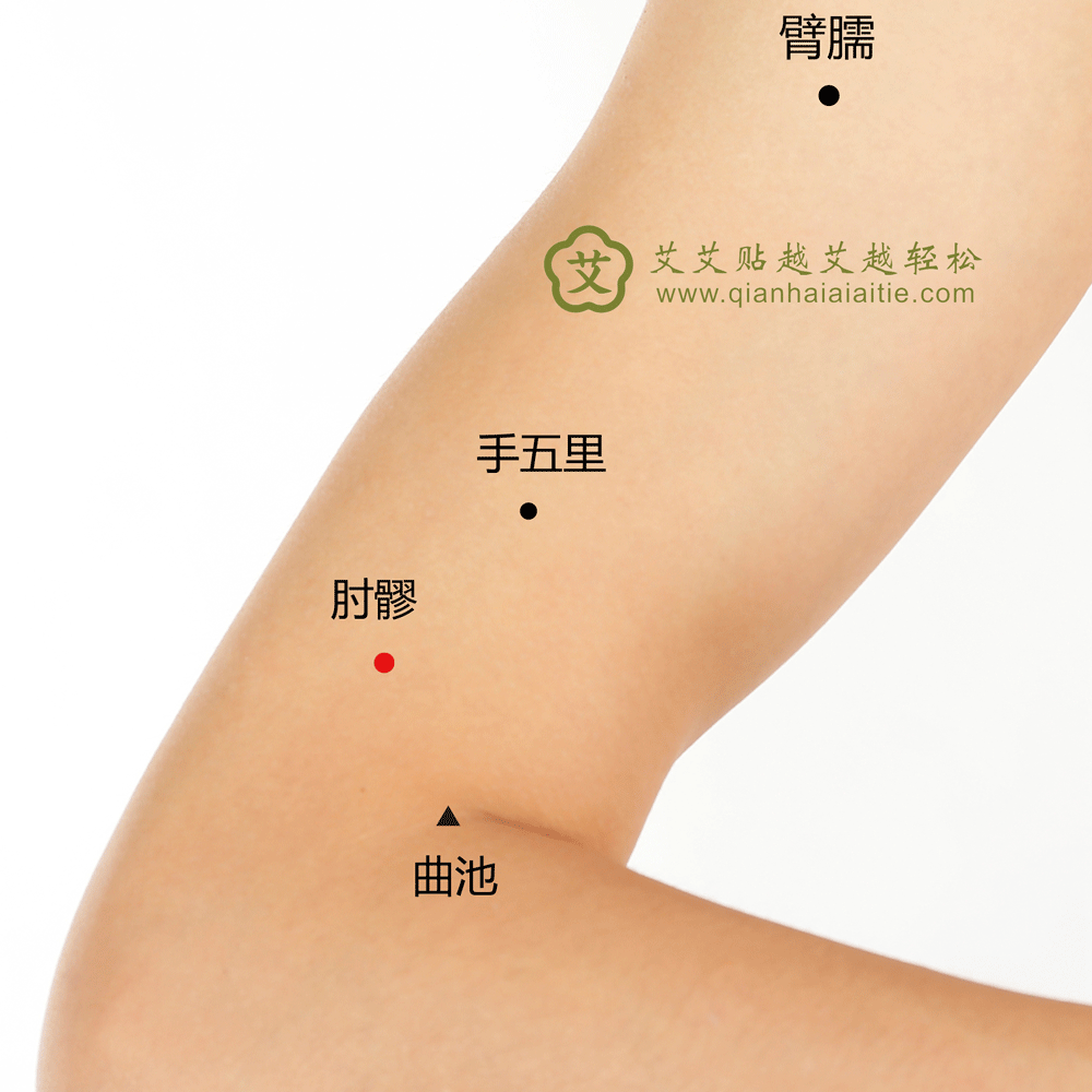 肘髎穴.gif