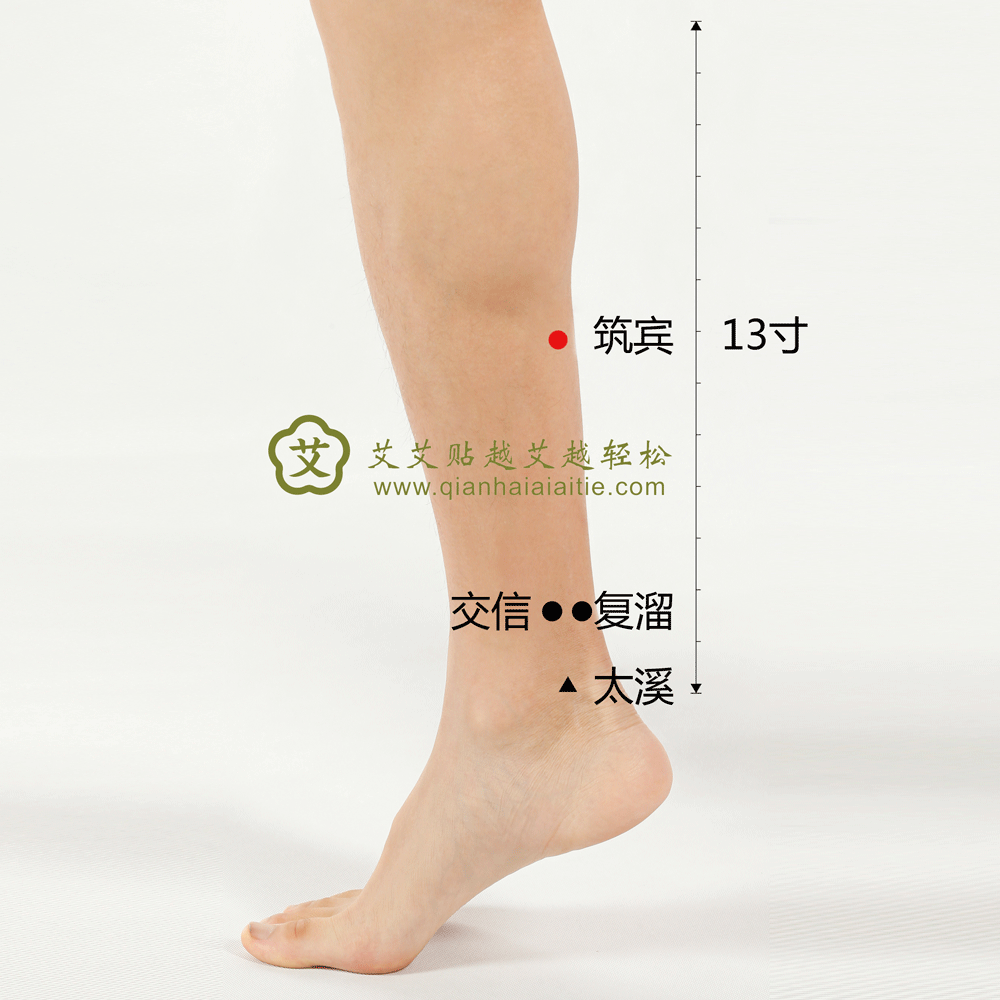 艾艾贴穴位·筑宾穴：呕吐涎沫、疝痛、小儿脐疝、小腿内侧痛