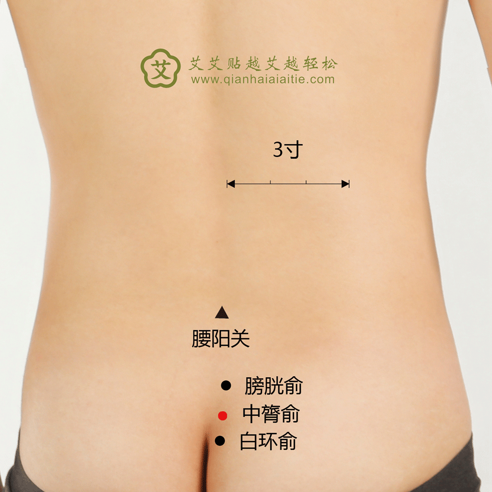 艾艾贴穴位·中膂俞：泄泻、腰脊强痛