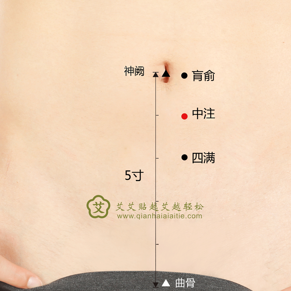 中注穴.gif