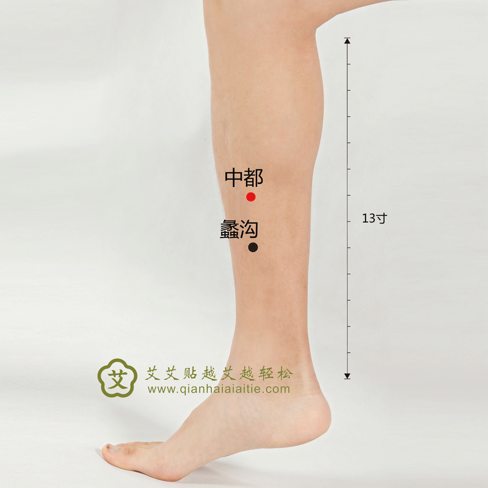 中都穴.gif