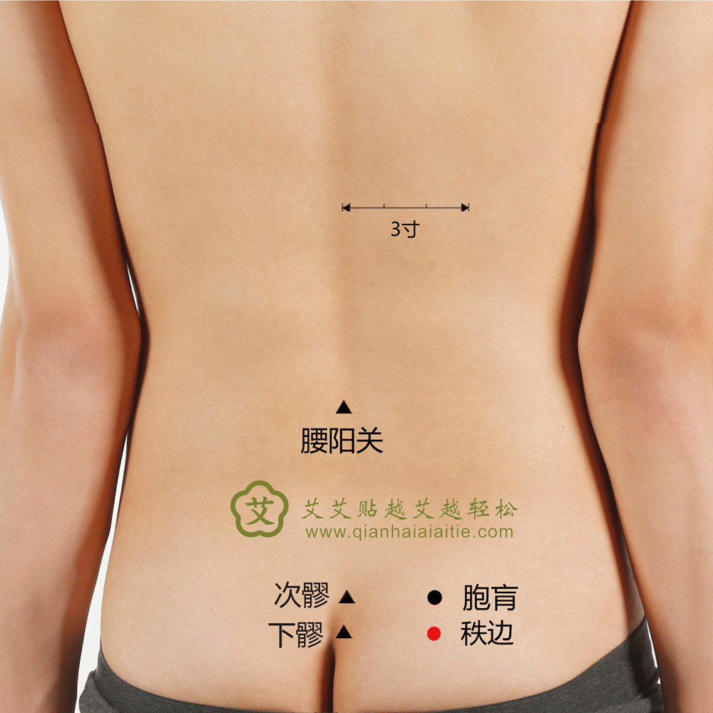 艾艾贴穴位·秩边穴：坐骨神经痛的钥匙！