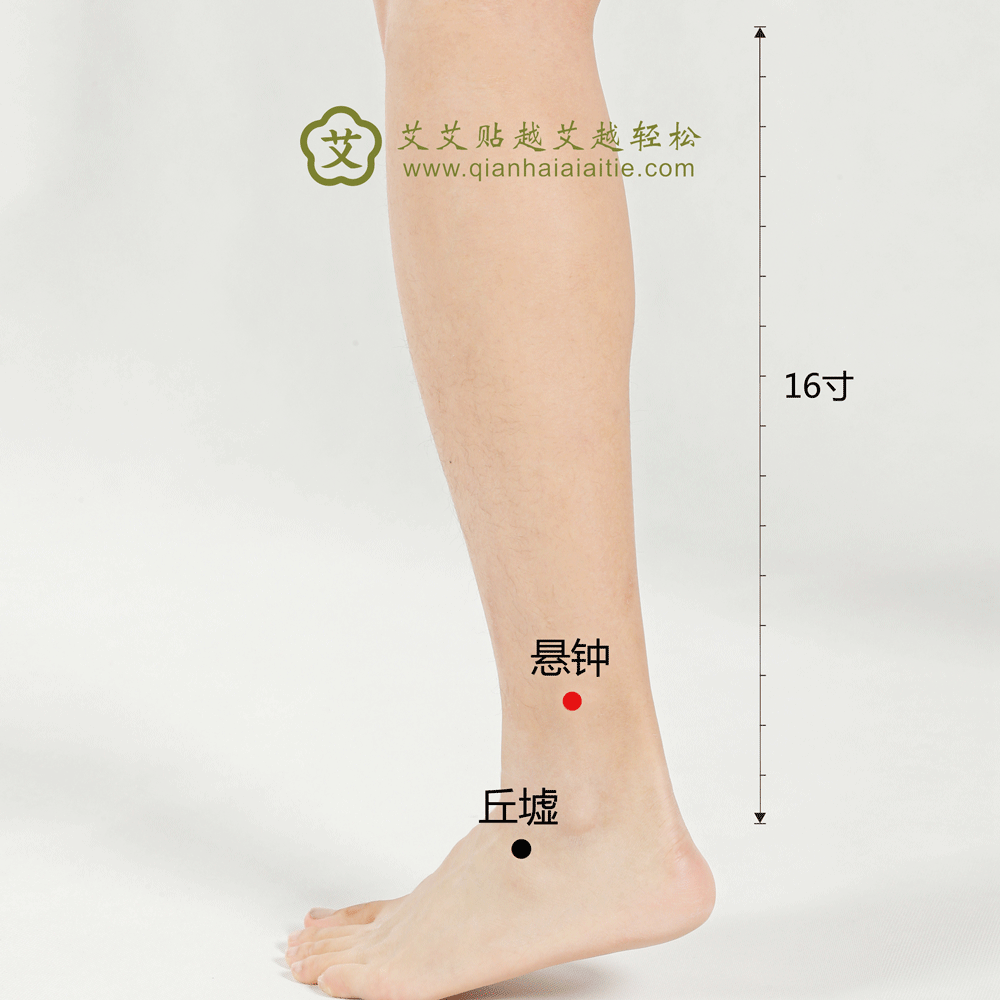 艾艾贴穴位·悬钟穴：舒筋活络、清热生气