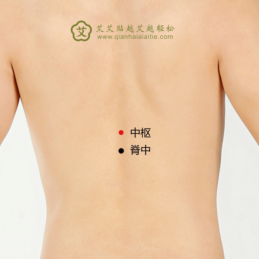 艾艾贴穴位·中枢穴：腹满、胃痛、食欲不振、腰背痛