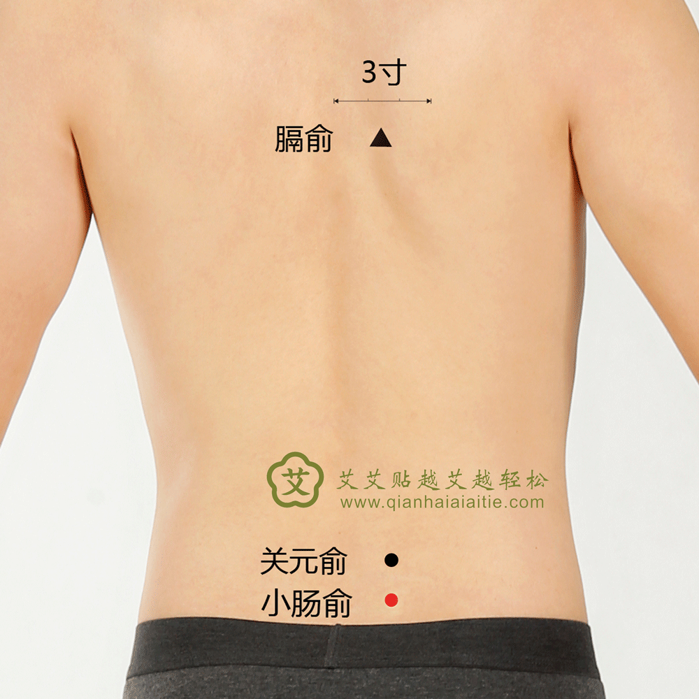 艾艾贴穴位·小肠俞：白带、腰腿疼