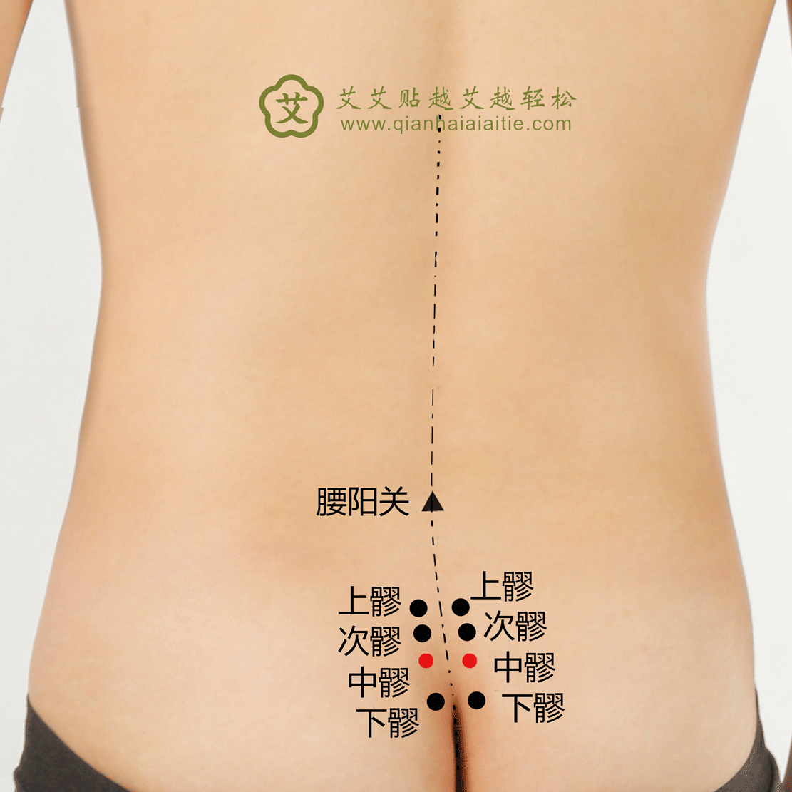 艾艾贴穴位·中髎穴：便秘、月经不调、腰痛