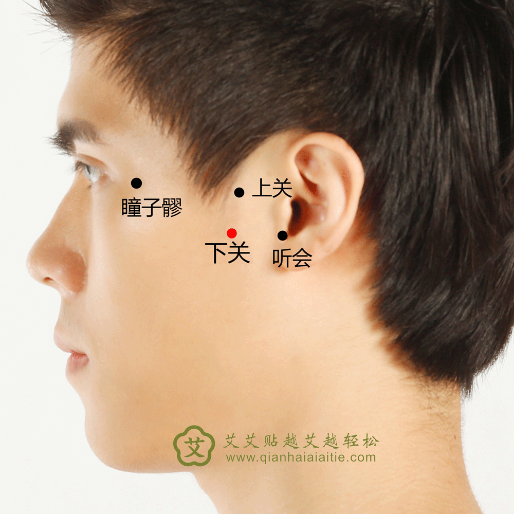 艾艾贴穴位·下关穴：耳鸣、齿痛、口眼歪斜