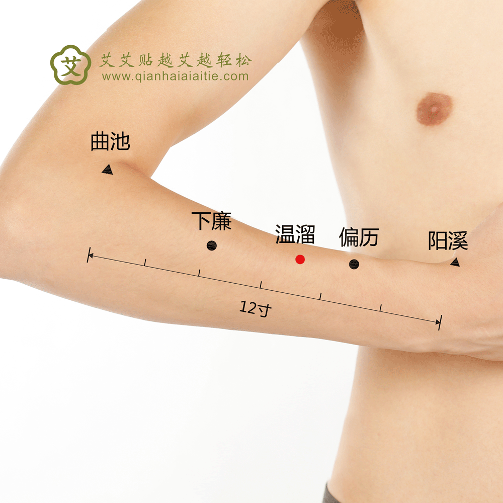 艾艾贴穴位·温溜穴：清热理气