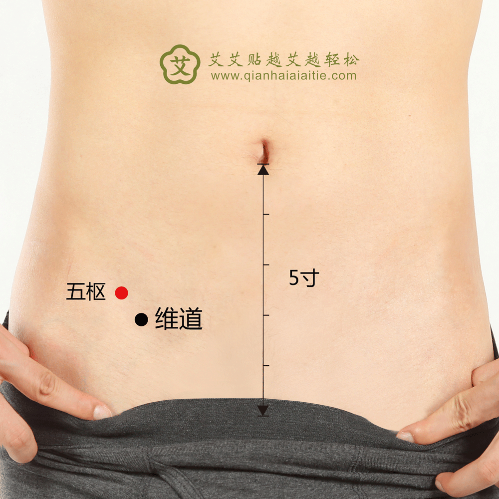艾艾贴穴位·五枢穴：赤白带下、月经不调、少腹痛、便秘