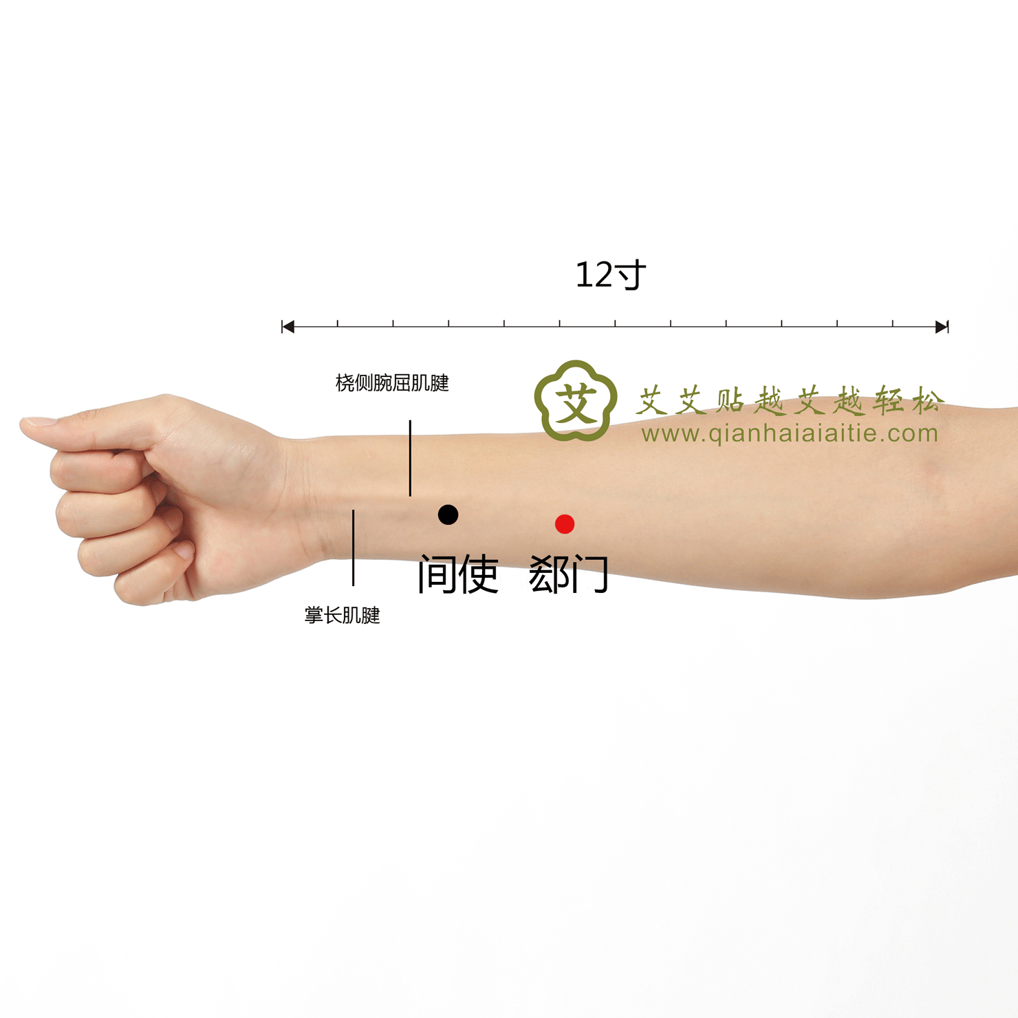 艾艾贴穴位·郄门穴：心动过速的速效穴