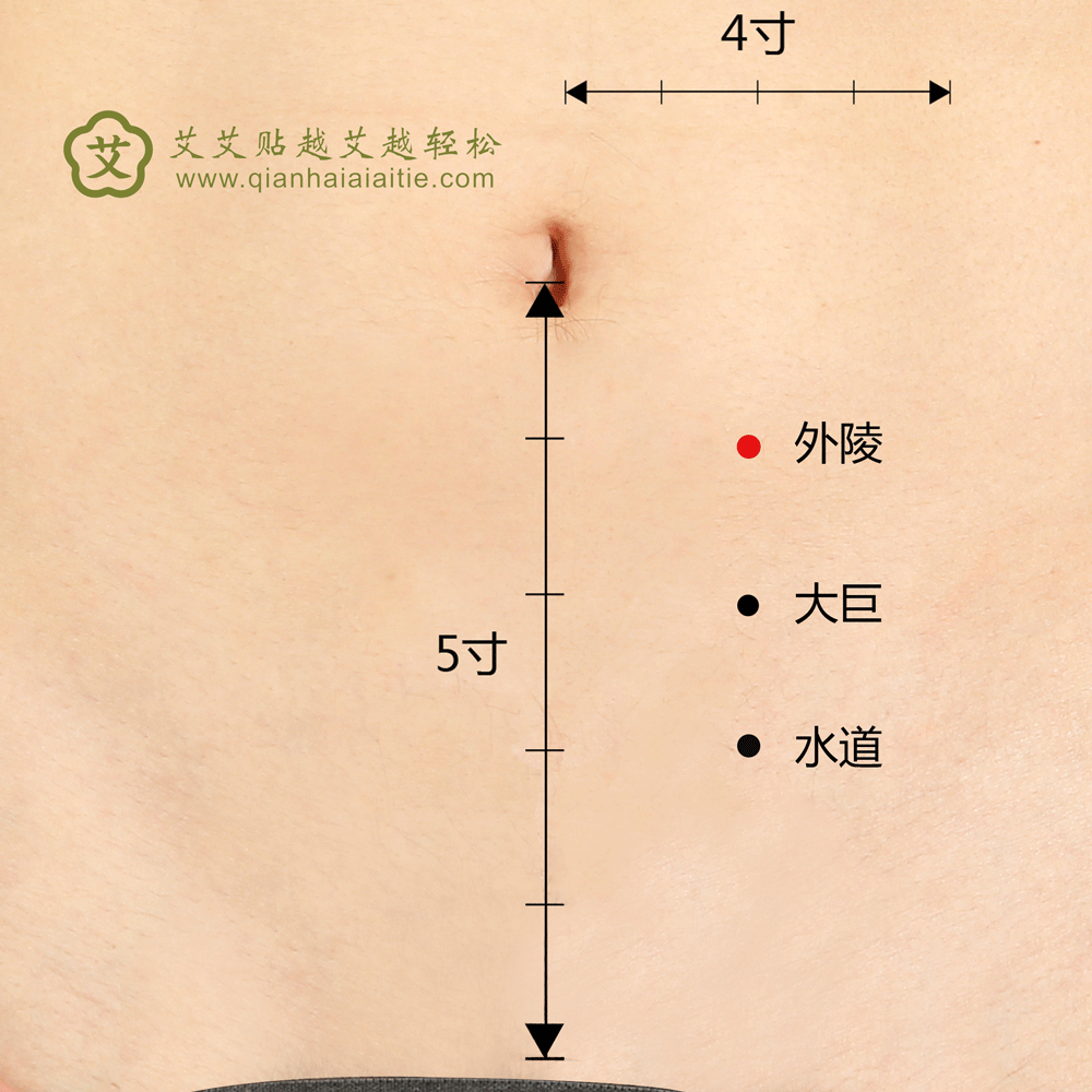 艾艾贴穴位·外陵穴： 腹痛、疝气、痛经