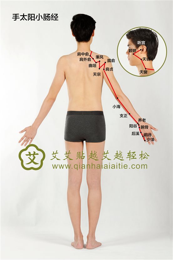 十二经脉之手太阳小肠经：分别清浊、化生气血