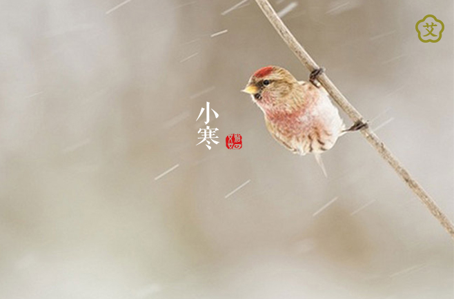 小寒丨寒气通于肾：补阳养肾，元气满满！