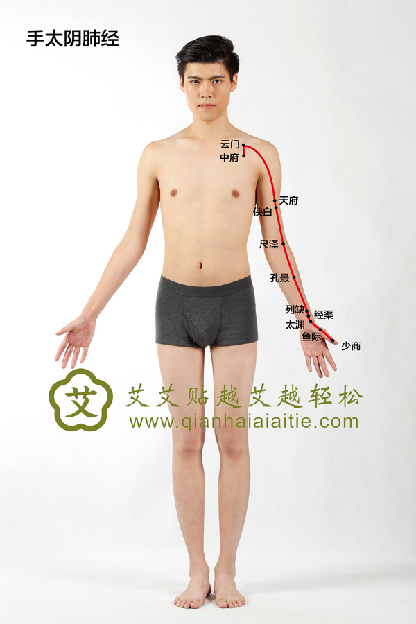 艾·养生丨告诉你什么时候做什么事最养生！