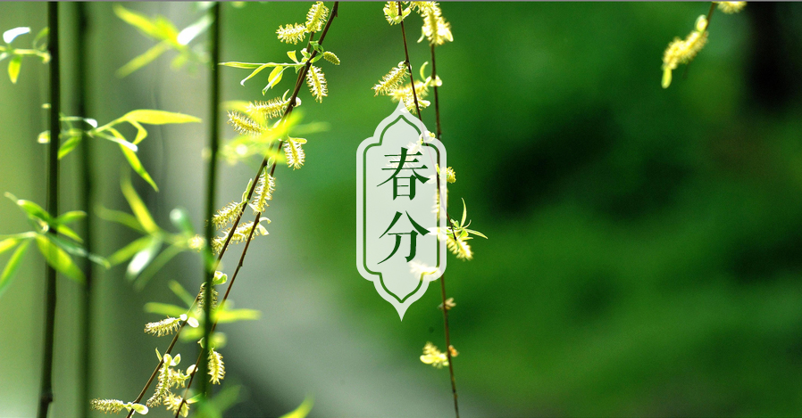 艾艾贴·春分 | 杏花烟雨杨柳风，阴阳平衡顺天时