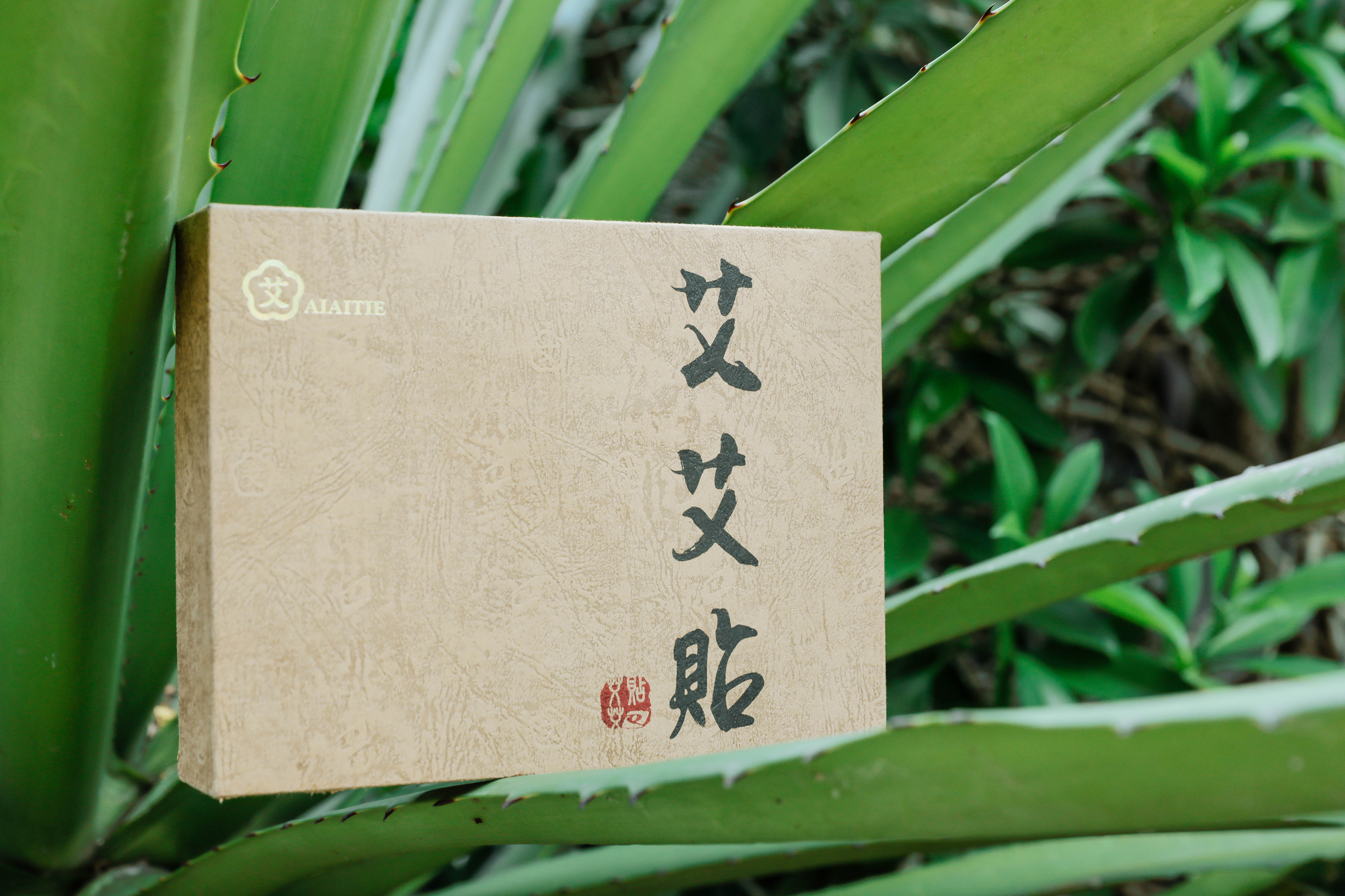 《健康北京》今晚上线！艾艾贴八大养生栏目走遍“视”界