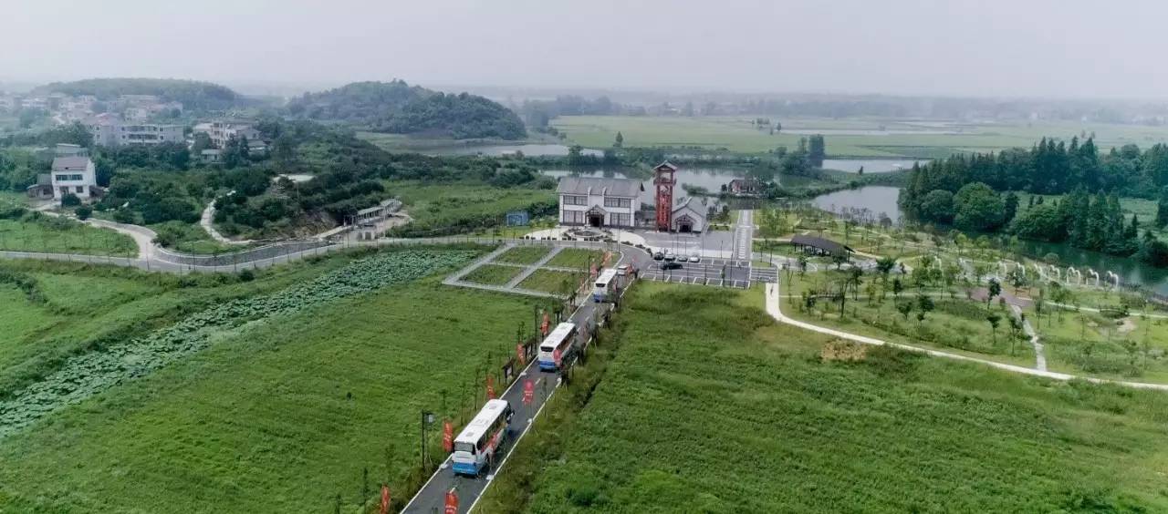 　当聚光灯打在脸上｜东元集团湖北大业席卷全媒