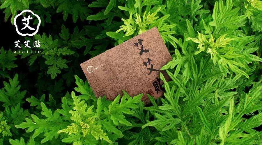 艾·揭秘！艾灸起源竟然和巫术有关？