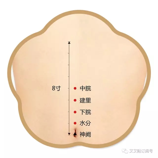 艾艾贴 | 艾灸补气血，比十全大补汤还有效！