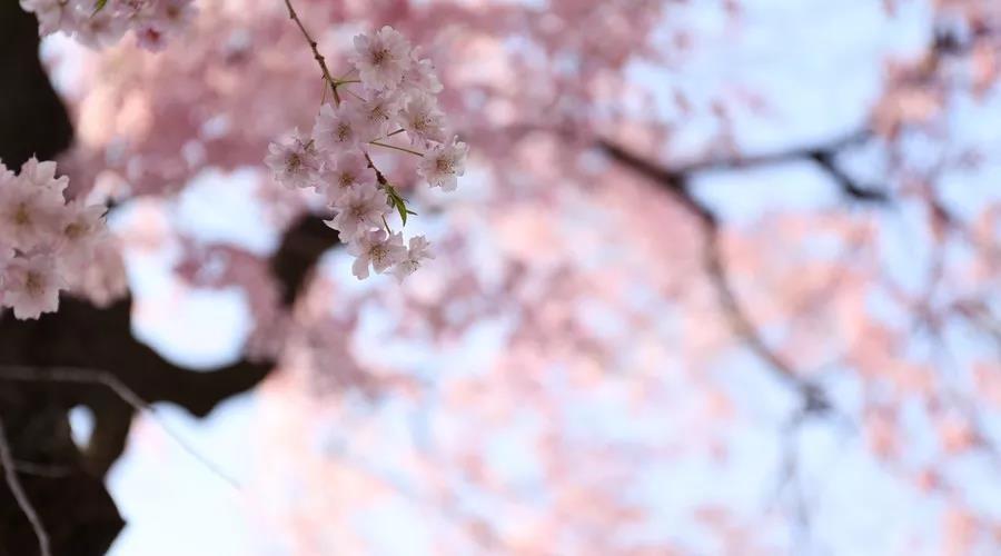 春捂秋冻，不生杂病 | “春捂”养生的四大要点莫忘记！