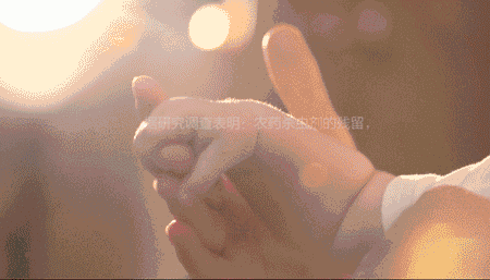 11.gif
