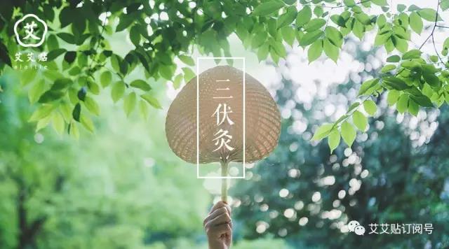 三伏灸 | 伏前灸，你准备好了吗？
