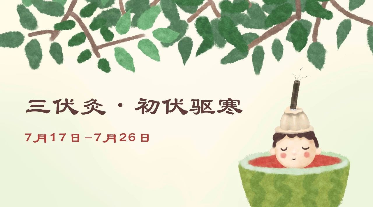 初伏丨今天你艾灸了吗？