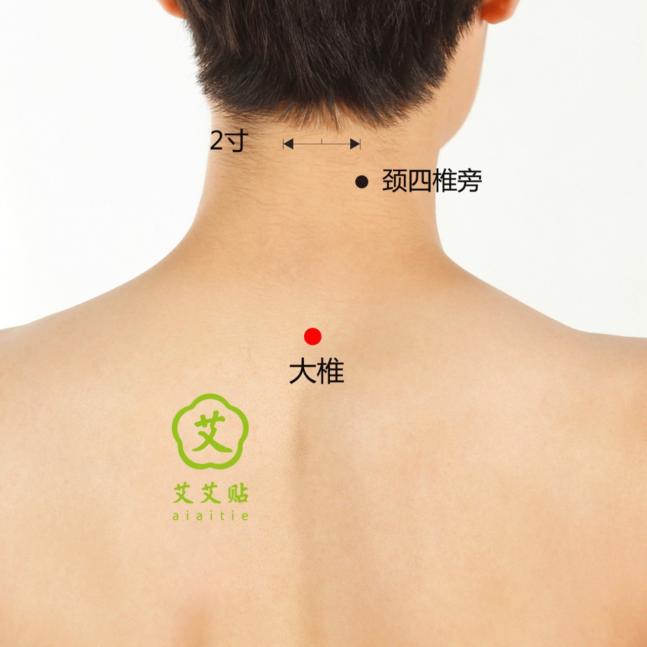 99%的人怕冷乏力，都是因为这一点