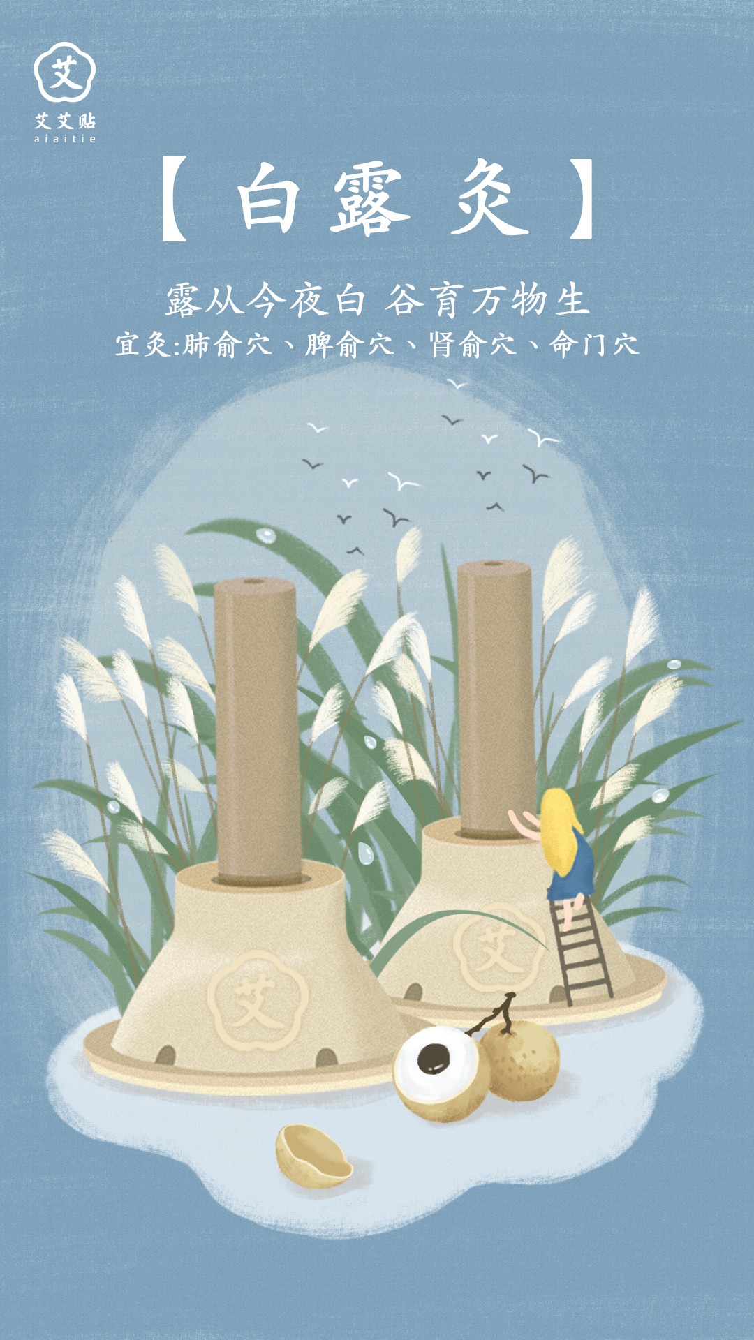 白露丨最美的节气，诗意地养生